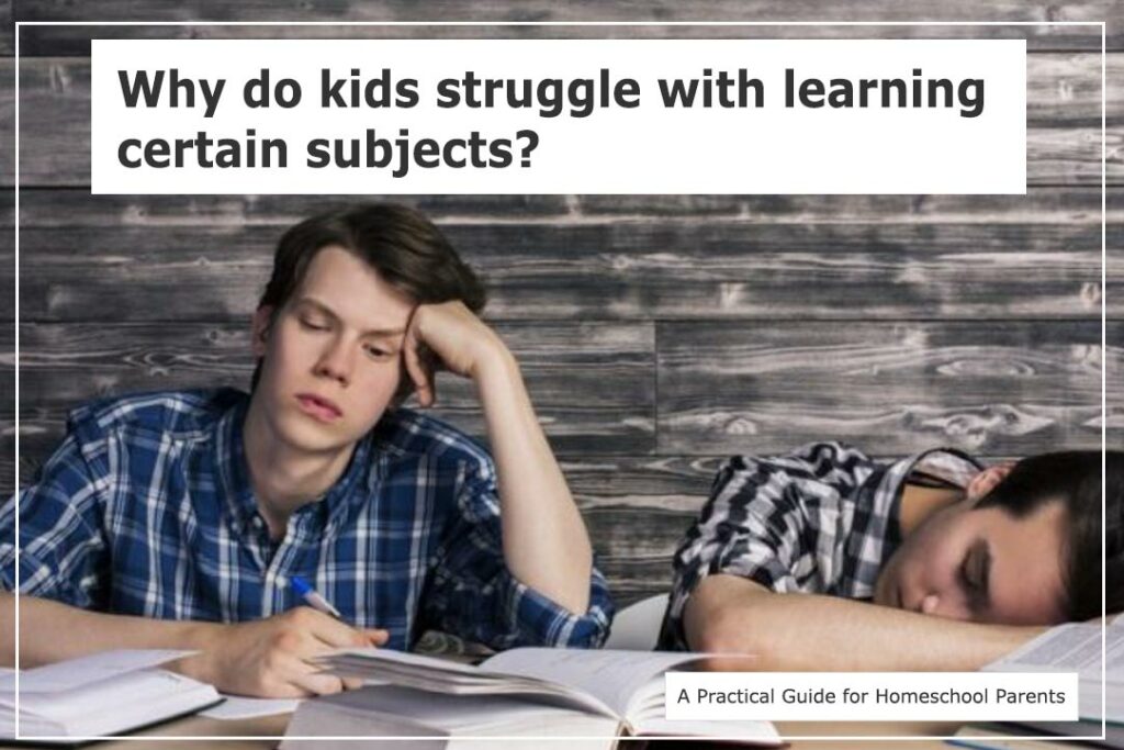 Kids are struggling to learn in a homeschool