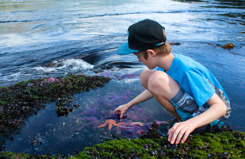 exploring and discovering the world through homeschool science