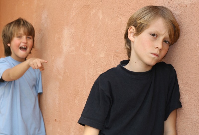 Dealing With Bullying in the Homeschool Classroom