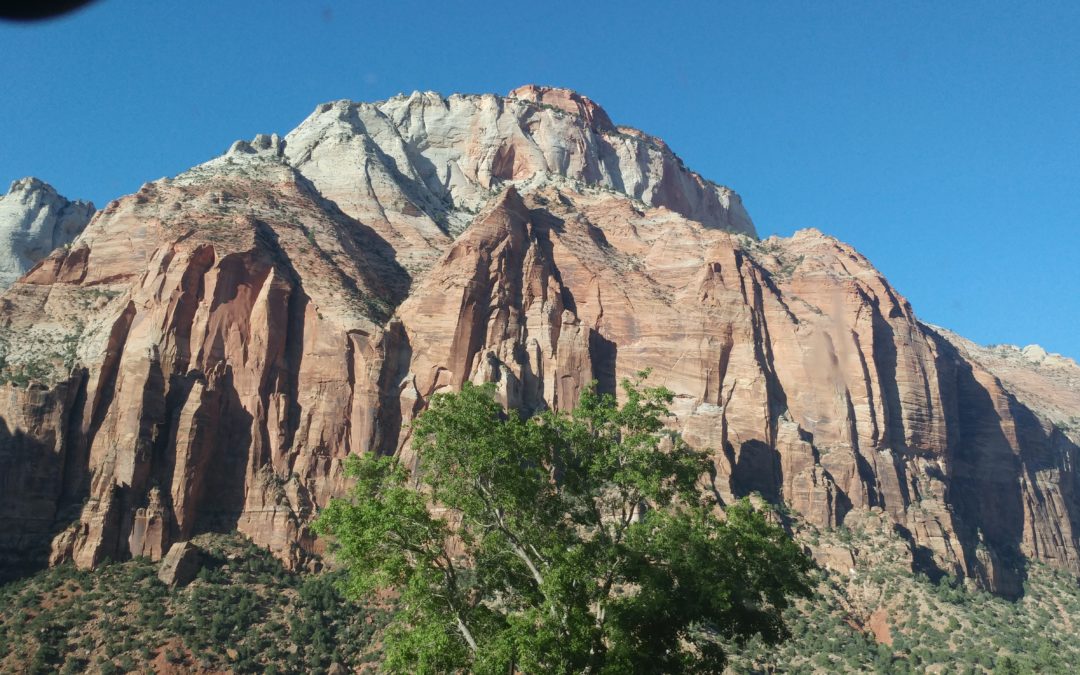 Driving through Zion